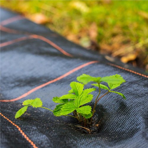Agrotextília 1,10 m x 50 m Agrotextília 70 g UV Mulčovacia antichvasová podložka