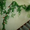 UMELÝ BREČTAN 50 m (24 x 2,1 m) DEKORATÍVNE LISTY NA STENU balkón, záhrada