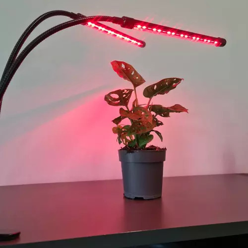 LED lampa na pestovanie rastlín, zvýšenie osvetlenia, časový panel x 2 + diaľkové ovládanie