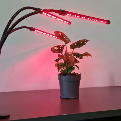 LED lampa na pestovanie rastlín, zvýšenie osvetlenia, časový panel x 3 + diaľkové ovládanie
