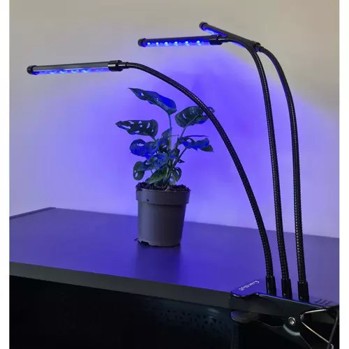 LED lampa na pestovanie rastlín, zvýšenie osvetlenia, časový panel x 3 + diaľkové ovládanie